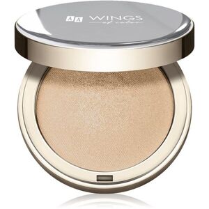 AA Wings of Color Glass Highlighter zapečený rozjasňovač odstín 02 8 g obraz