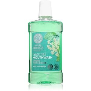 Natura Siberica Natural Mouthwash Strong Teeth & Gums bylinná ústní voda se zinkem 520 ml obraz
