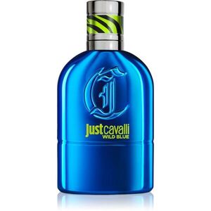 Roberto Cavalli Just Cavalli Wild Blue toaletní voda pro muže 30 ml obraz