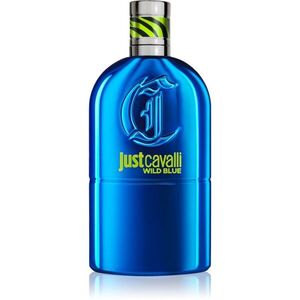 Roberto Cavalli Just Cavalli Wild Blue toaletní voda pro muže 90 ml obraz