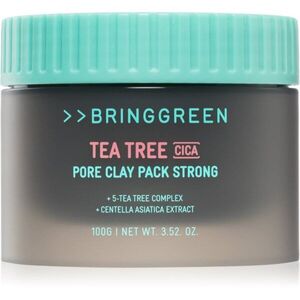 BRINGGREEN Tea Tree Cica Pore Clay Pack Strong krémová maska pro mastnou pleť se sklonem k akné 100 g obraz