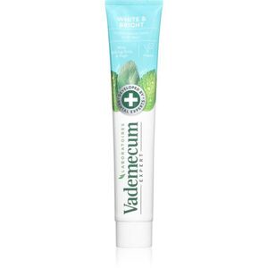 Vademecum Expert White & Bright bělicí pasta 75 ml obraz