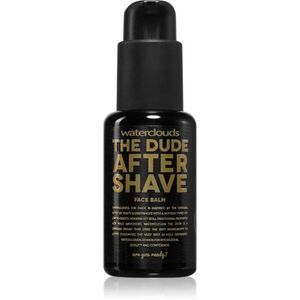 Waterclouds The Dude After Shave Balm balzám po holení 50 ml obraz