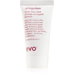 EVO Springsclean Deepclean Rinse hloubkově čisticí šampon 30 ml obraz