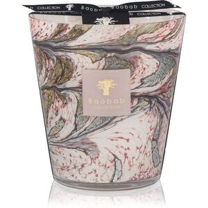 Baobab Collection Leaves Manon vonná svíčka 1000 g obraz