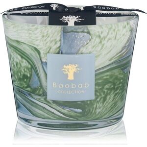 Baobab Collection Leaves Marius vonná svíčka 500 g obraz