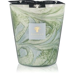 Baobab Collection Leaves Marius vonná svíčka 1000 g obraz