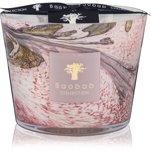 Baobab Collection Leaves Manon vonná svíčka 500 g obraz