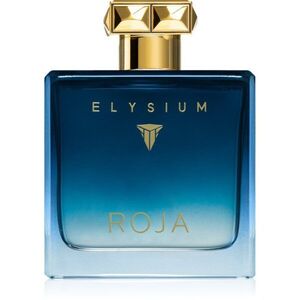 Roja Parfums Elysium Pour Homme parfémovaná voda pro muže 100 ml obraz