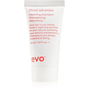 EVO Ritual Salvation Repairing Shampoo regenerační šampon 30 ml obraz