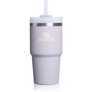 Stanley Quencher H2.O FlowState™ Tumbler nerezový tumbler s brčkem malý Purple Dust 1 ks obraz