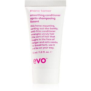 EVO Smooth Smoothing Conditioner uhlazující kondicionér pro nepoddajné a krepatějící se vlasy 30 ml obraz