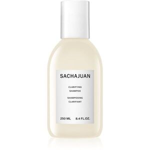 Sachajuan Clarifying hloubkově čisticí šampon 250 ml obraz