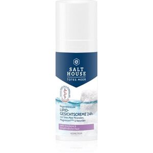 Salt House Dead Sea Therapy Lipid Face Cream hydratační pleťový krém s lipidy 50 ml obraz