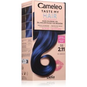 Delia Cosmetics Cameleo Taste My Hair semipermanentní barva na vlasy odstín 2.11 Blue Cake 1 ks obraz