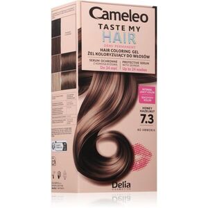 Delia Cosmetics Cameleo Taste My Hair semipermanentní barva na vlasy odstín 7.3 Honey Hazelnut 1 ks obraz