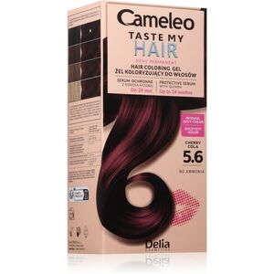 Delia Cosmetics Cameleo Taste My Hair semipermanentní barva na vlasy odstín 5.6 Cherry Cola 1 ks obraz
