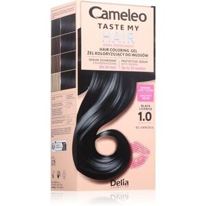 Delia Cosmetics Cameleo Taste My Hair semipermanentní barva na vlasy odstín 1 ks obraz