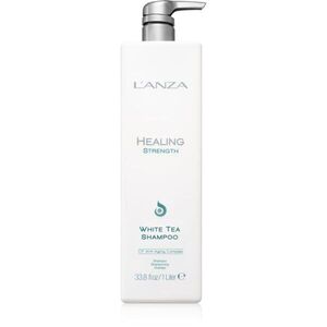 L'anza Healing Strength White Tea Shampoo šampon pro jemné a zplihlé vlasy s bílým čajem 950 ml obraz