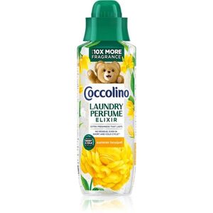 Coccolino Summer Bouquet vůně do prádla 460 ml obraz