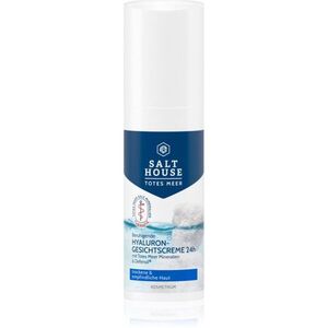 Salt House Dead Sea Therapy Hyaluronic Face Cream 24h hydratační pleťový krém s kyselinou hyaluronovou 50 ml obraz