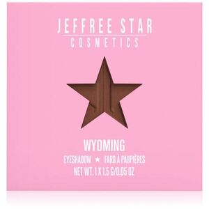 Jeffree Star Cosmetics Artistry Single Eyeshadow oční stíny odstín Wyoming 1, 5 g obraz