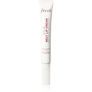 fresh Sugar Melt Lip Cream tónující balzám na rty odstín Blood Orange Zest 12 g obraz