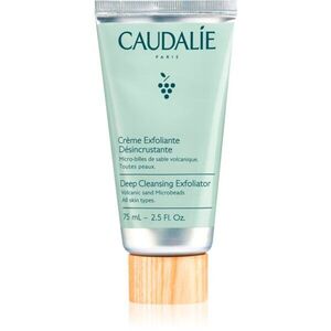 Caudalie Cleaners & Toners Deep Cleansing Exfoliator pleťový peeling pro hloubkové čištění 75 ml obraz