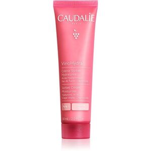 Caudalie VinoHydra Sorbet Cream Moisturizer hydratační gel krém pro citlivou pleť 60 ml obraz