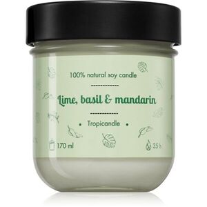 Tropicandle Lime, Basil & Mandarin vonná svíčka 170 ml obraz