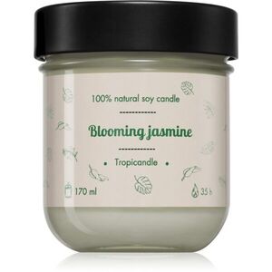Tropicandle Blooming Jasmine vonná svíčka 170 ml obraz