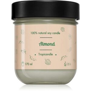 Tropicandle Almond vonná svíčka 170 ml obraz
