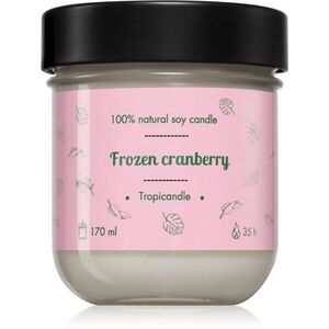 Tropicandle Frozen Cranberry vonná svíčka 170 ml obraz