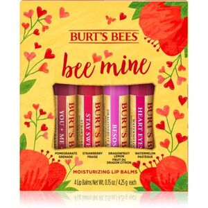 Burt’s Bees Bee Mine balzám na rty s včelím voskem příchuť Pomegranate, Strawberry, Dragonfruit Lemon, Watermelon 4x4.25 g obraz