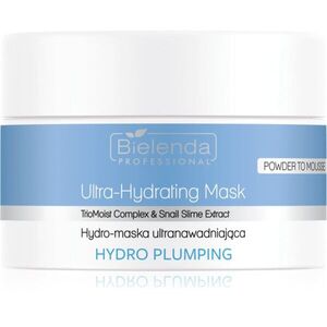 Bielenda Professional Hydro Plumping hydratační maska pro regeneraci pleti 100 g obraz