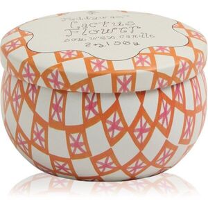 Paddywax Tulip Cactus Flower vonná svíčka s víčkem 56 g obraz