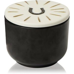 Paddywax Charmed Tabac & Pine vonná svíčka s víčkem 226 g obraz