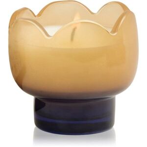 Paddywax Tulip Garden & Grove vonná svíčka 155 g obraz
