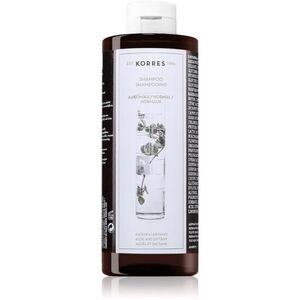 Korres Aloe & Dittany jemný šampon ke každodennímu použití 400 ml obraz