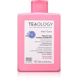 Teaology Peach Tea Hydra Shampoo hydratační šampon pro posílení poškozených vlasů 250 ml obraz