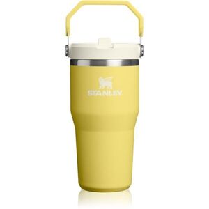 Stanley IceFlow™ Flip Straw 2.0 Tumbler nerezová termoláhev Daffodil 1 ks obraz