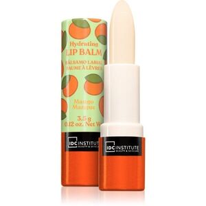 IDC Institute Skin Food balzám na rty odstín Mango 3.5 g obraz