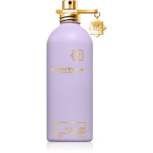 Montale Be My Plum parfémovaná voda unisex 100 ml obraz