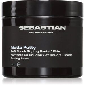 Sebastian Professional Matte Putty stylingová pasta pro matný vzhled pro všechny typy vlasů 75 g obraz