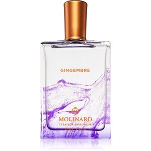 Molinard Gingembre parfémovaná voda unisex 75 ml obraz