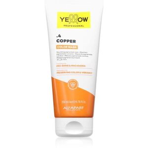 Yellow Professional Color Mask barvicí maska odstín .4 Copper 200 ml obraz