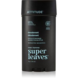 Attitude Super Leaves Men Deodorant deodorant bez hliníku pro muže Eucalyptus & Sage 75 g obraz