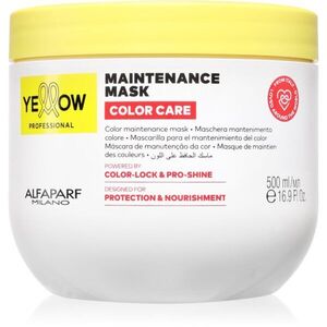 Yellow Professional Color Care Maintenance Mask maska pro barvené vlasy 500 ml obraz