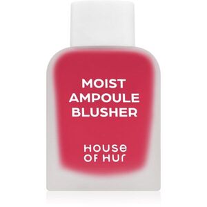 House of Hur Moist Ampoule Blusher tekutá tvářenka mini odstín 02 Deep Plum 10 ml obraz