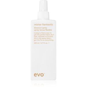 EVO Mister Fantastic Blowout Spray ochranný sprej pro urychlení foukané 200 ml obraz